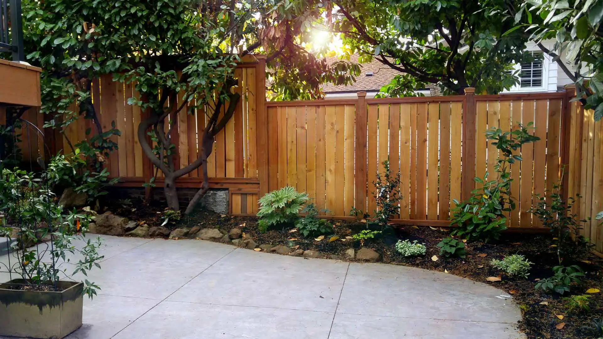 fire pit fire pit